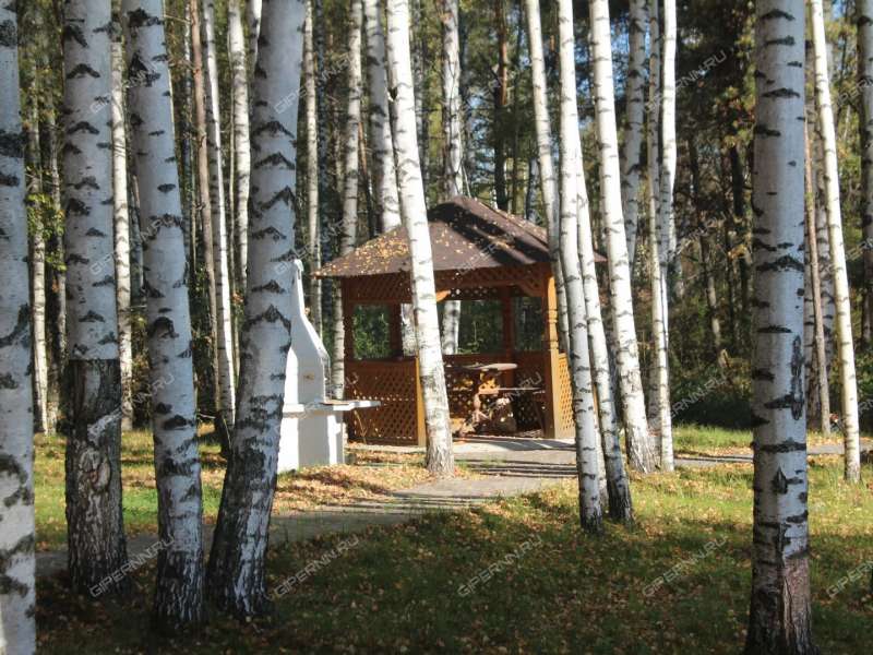 имущественный комплекс под недвижимость для отдыха, развлечений на  деревня Хмелевка