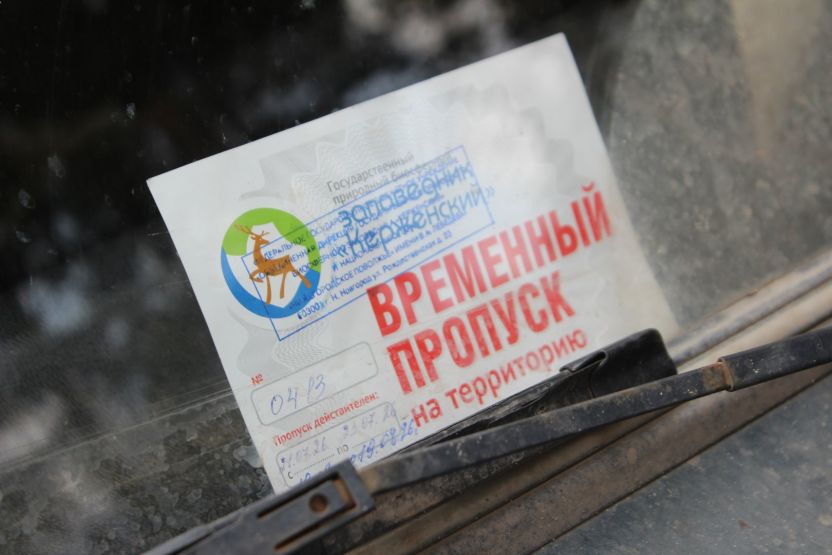 Фото: Ксения Ражева / gipernn.ru