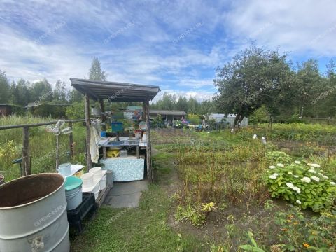 dacha-snt-berezka фото