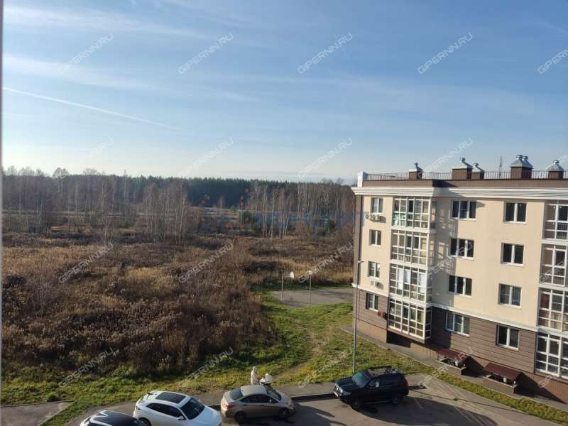 однокомнатная квартира в 6-м микрорайоне дом 36а город Кстово