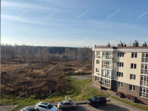 1-komnatnaya-gorod-kstovo-kstovskiy-rayon фото