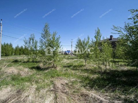 derevnya-burcevo-bogorodskiy-municipalnyy-okrug фото