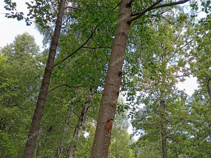 помещение под помещение свободного назначения в посёлке Санаторий им. ВЦСПС
