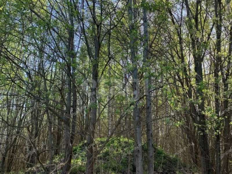 земельный участок 22,1 сотки деревня Колганово