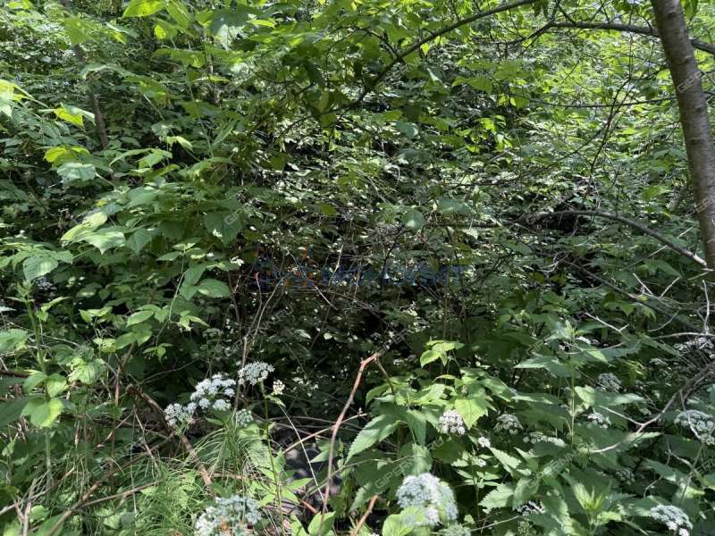 земельный участок 7,34 сотки Нижне-Валдайская улица