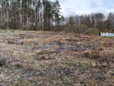 snt-stroitel-bogorodskiy-municipalnyy-okrug фото