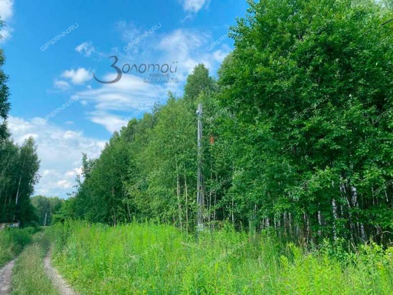 земельный участок 10 соток село Елховка