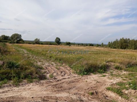 derevnya-kubaevo-bogorodskiy-municipalnyy-okrug фото