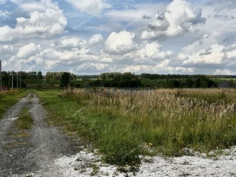 derevnya-berezovka-bogorodskiy-municipalnyy-okrug фото