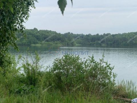 derevnya-burcevo-bogorodskiy-municipalnyy-okrug фото