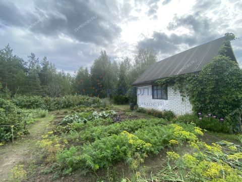 dacha-snt-berezka фото