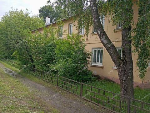 2-komnatnaya-gorod-bor-gorodskoy-okrug-bor фото