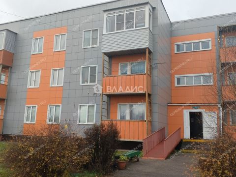 1-komnatnaya-derevnya-berezovka-bogorodskiy-municipalnyy-okrug фото