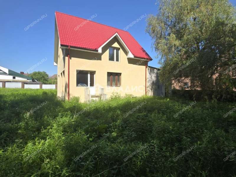 дом на Берёзовой улице село Великий Враг