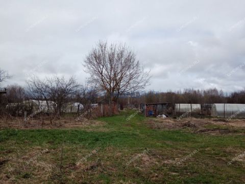 dacha-selo-laksha-bogorodskiy-municipalnyy-okrug фото