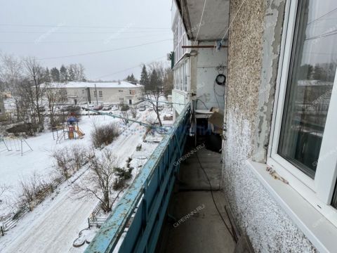 2-komnatnaya-poselok-burevestnik-bogorodskiy-municipalnyy-okrug фото