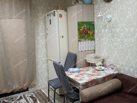 ul-yuliusa-fuchika-d-5 фото