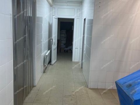 gorod-bor-gorodskoy-okrug-bor фото