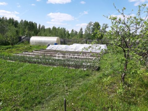 dom-selo-venec-sosnovskiy-rayon фото