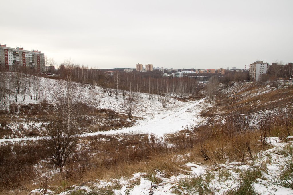 Лопатинский овраг нижний новгород фото