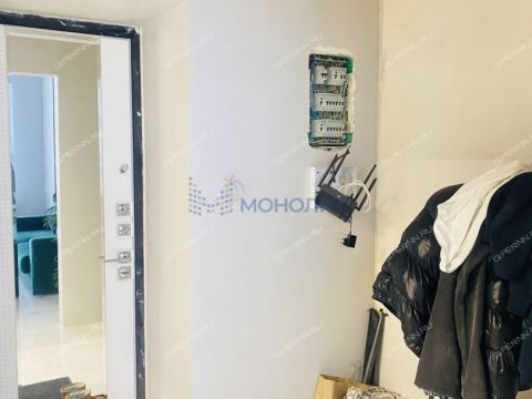 1-komnatnaya-derevnya-afonino-kstovskiy-rayon фото