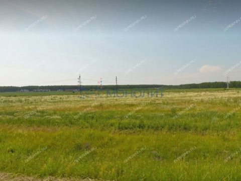 derevnya-opaliha-kstovskiy-rayon фото