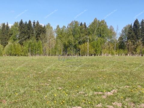 selo-vershilovo-gorodskoy-okrug-chkalovsk фото