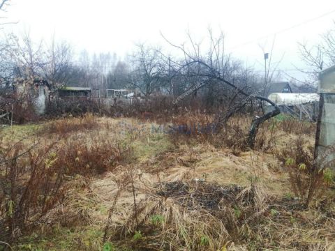 dacha-gorod-bor-gorodskoy-okrug-bor фото