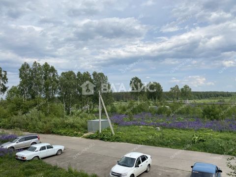 1-komnatnaya-derevnya-berezovka-bogorodskiy-municipalnyy-okrug фото