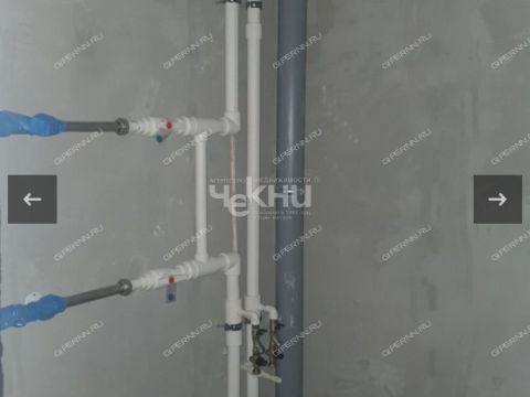 1-komnatnaya-derevnya-afonino-kstovskiy-rayon фото