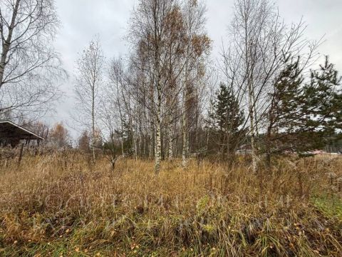 derevnya-pionerskoe-gorodskoy-okrug-bor фото