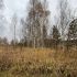 земельный участок 17,3 сотки деревня Пионерское