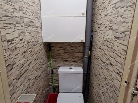 2-komnatnaya-selo-novye-klyuchishhi-kstovskiy-rayon фото