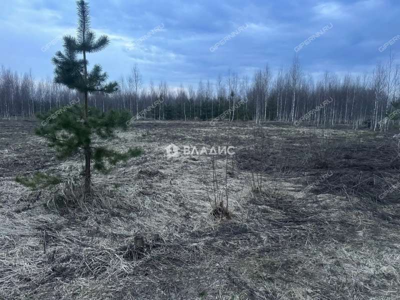 земельный участок 9,9 сотки Семейная улица город Бор