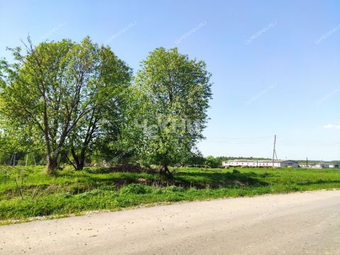 derevnya-mednikovo-gorodskoy-okrug-chkalovsk фото