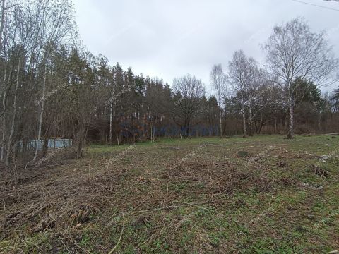 snt-stroitel-bogorodskiy-municipalnyy-okrug фото