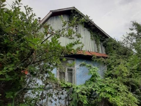 dacha-snt-n8-oao-gaz-gorodskoy-okrug-bor фото