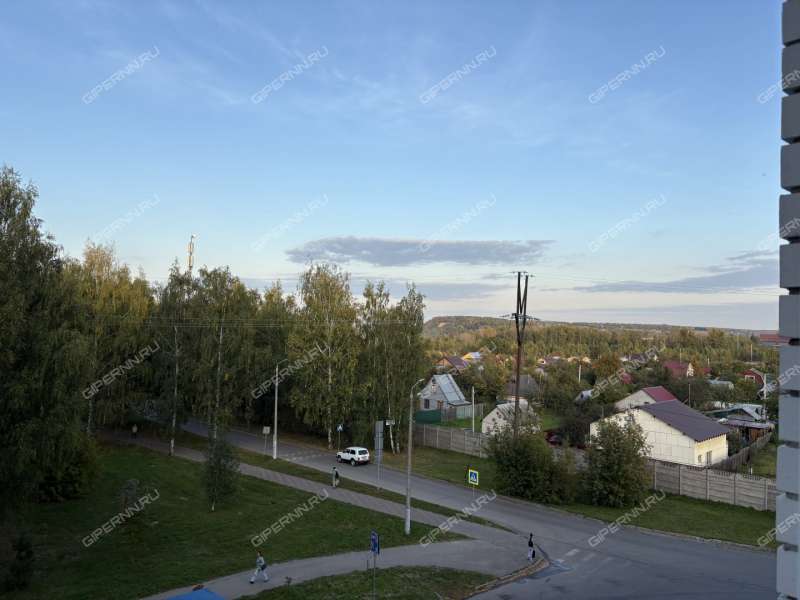 двухкомнатная квартира на Парковой улице дом 6 город Кстово