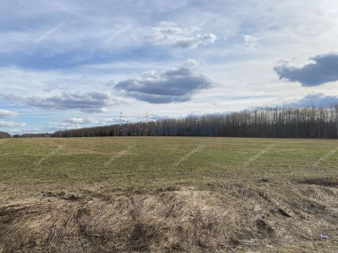 selo-kamenki-bogorodskiy-municipalnyy-okrug фото