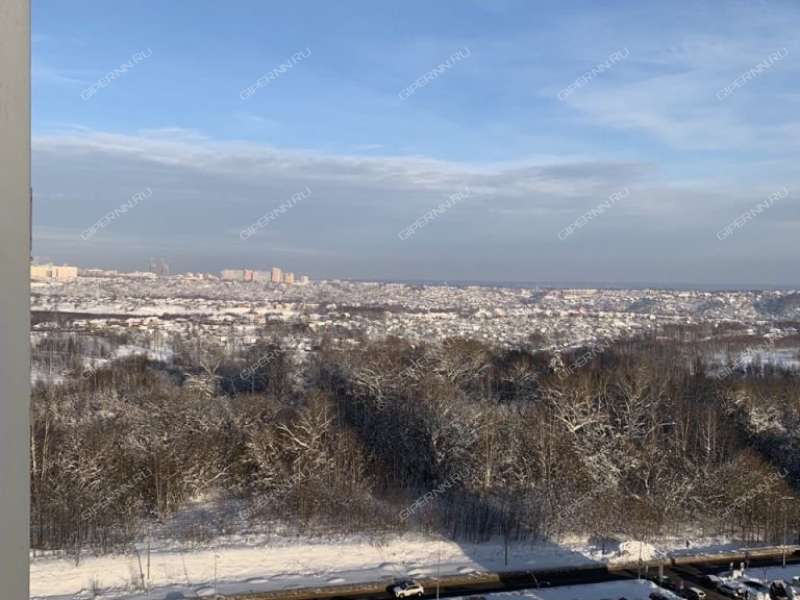 двухкомнатная квартира на Русской улице улице дом 9 деревня Анкудиновка