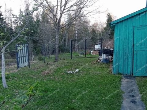 dacha-derevnya-shoniha-bogorodskiy-municipalnyy-okrug фото