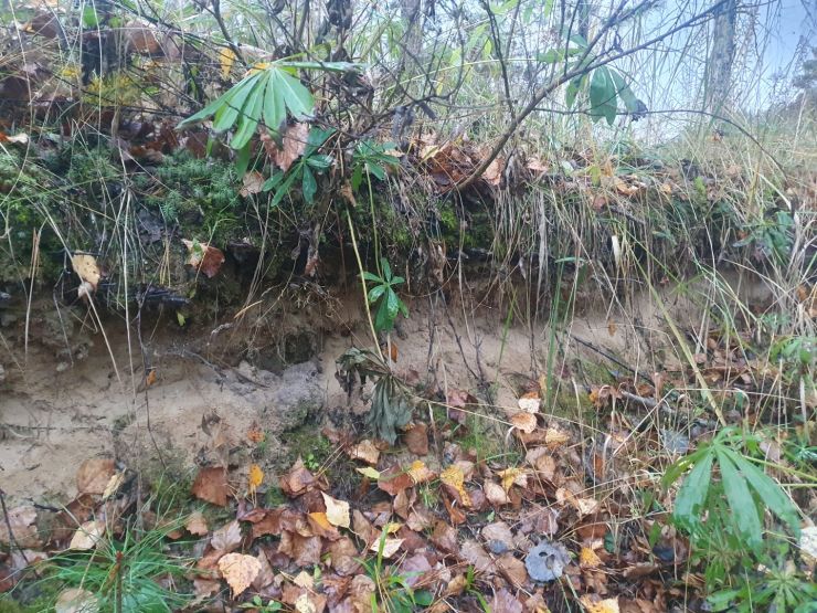 Фото: Ксения Ражева