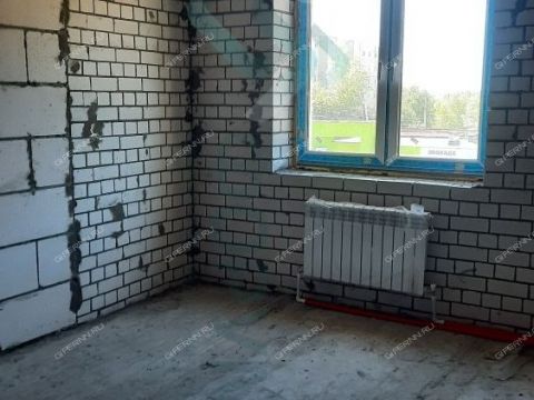 1-komnatnaya-gorod-bor-gorodskoy-okrug-bor фото