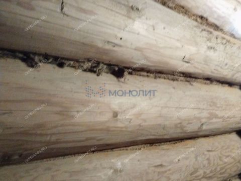 dom-derevnya-hahaly-semenovskiy-gorodskoy-okrug фото