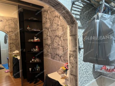 1-komnatnaya-derevnya-afonino-kstovskiy-rayon фото