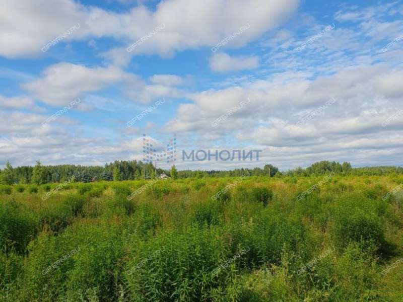 земельный участок под сельхоз назначение в городском округе Бор Нижегородской области