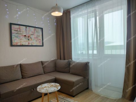 1-komnatnaya-ul-2-ya-dorozhnaya-d-5 фото