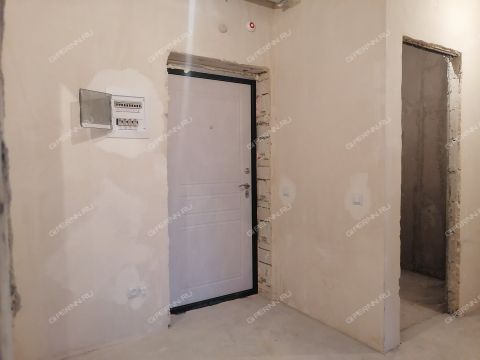 2-komnatnaya-ul-rodionova-d-31 фото