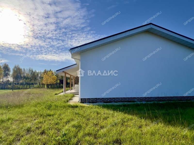 дом на улице Луговая деревня Борисовка