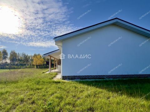 dom-derevnya-borisovka-gorodskoy-okrug-bor фото